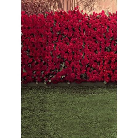 5x7ft Børnefotografering Baggrund Fotografering Baggrunde Romantik Røde Roser Blomster Væg Sløret Græs Gulve Toddler Scene Studio Rekvisitter Video 
