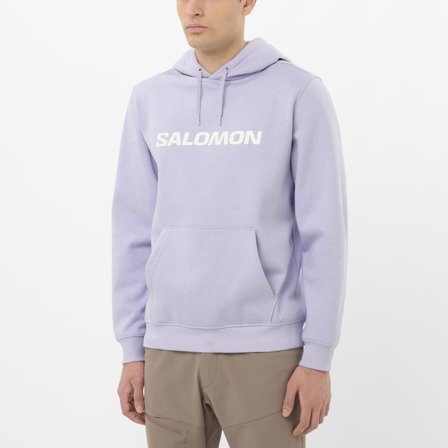 Salomon - Kapuzensweatshirt Herren Logo - Cosmic SKY
