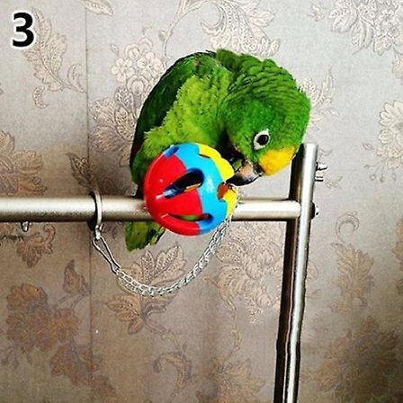 Sød Plastik Tyggebold Kæde Bur Legetøj til Papegøje Kakadue Undulat