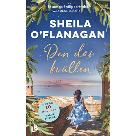 Den där kvällen 9789177991588