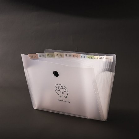 Gennemsigtig filpose Gennemsigtig mappe 12 GRIDS-FÅR 12