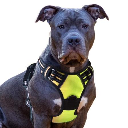 Hundsele Frontklämma Väst Sele Hundbilssele med handtag Valpbröstdyna Justerbar reflekterande mesh Lätt och lätt att kontrollera