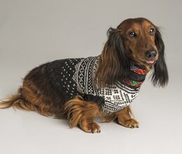 Hundtröja - Viking of Norway