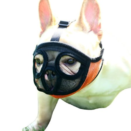 Mesh Kort nos Hundens nosparti Hundens nosparti Justerbart ventilerande mesh Bulldogmynt för att bita och tugga skällande hundmask, orange, S
