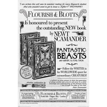 Fantastic Beasts The Crimes Of Grindelwald - Flourish And Blotts