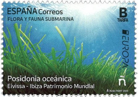 Spanien - EUROPA 2024 Undervandsfauna og -flora - Postfrisk frimærke
