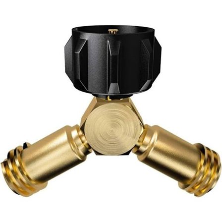 20 år gammel, 20 pund, 2 pund