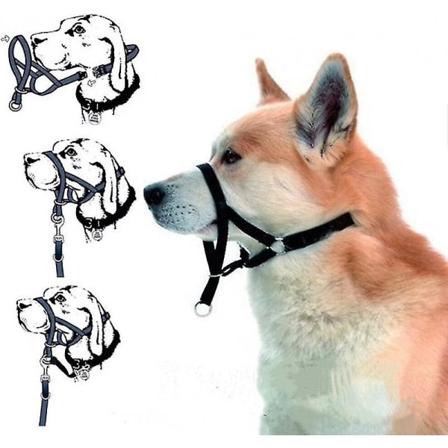 Halti hodebånd Hundetrening Lydighet Slutt å dra i bånd Ingen dra løsning blue xl