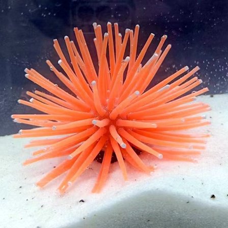 Kunstig Akvarie Fisk Tank Dekoration Silikone Søanemone Kunstig Fisk Tank Ornament Dekoration Lille (Orange)