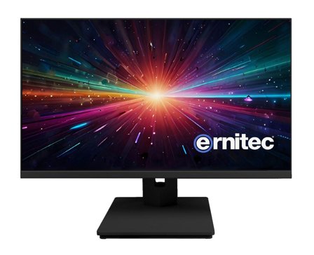 ERNITEC 27" Surveillance monitor