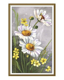 Broderipakke Bilde Prestekrager - Nova Sloboda