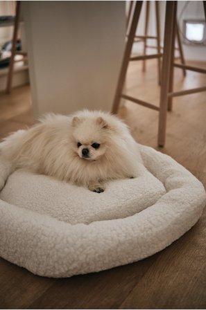 Jotex - Hundeseng/katteseng Hvit - YOSHI - Kjøp Hundeseng/katteseng hos Jotex