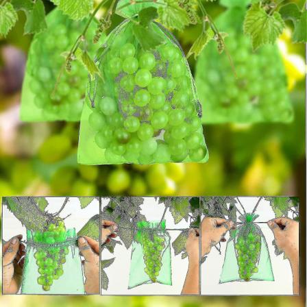 50 st frukt druva skyddspåsar 30x40cm organza påsar med dragsko trädgård fint nät insektsbarriärnät