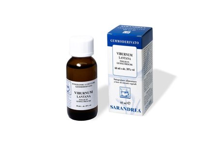 Sarandrea Viburnum Lantana Gemmoderivato 60ml
