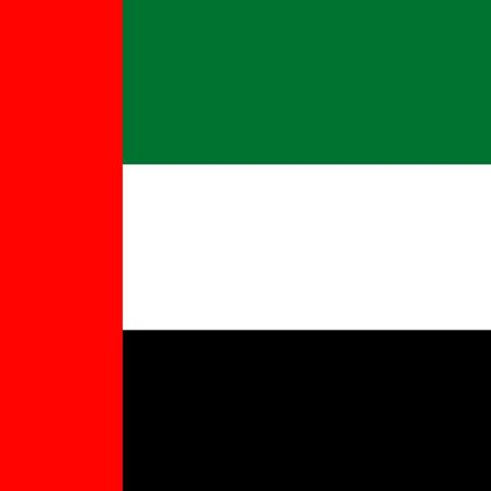 Forenede Arabiske Emiraters flag 100