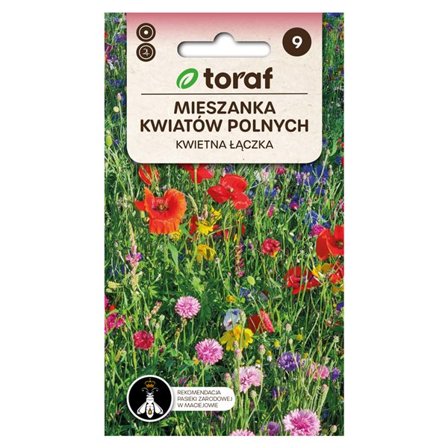 Frö till ängsblommor Mix – Naturlig och färgstark blomsteräng