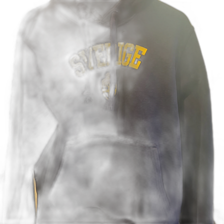 Sverige match hoodie