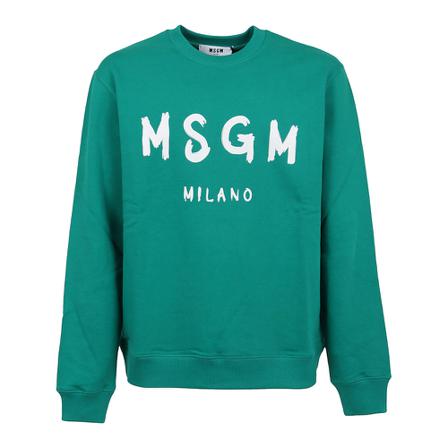 Msgm Hoodies Grøn, Herre