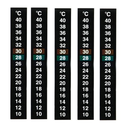 5-pak traditionel digital klistertermometer med Celsius-system{KDO}