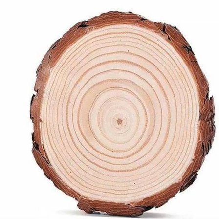 12 kpl luonnonpuusta valmistettuja pyöreitä levyjä, 10-11 cm & 10 mm paksuus, rustiikkisia puupyöreitä DIY-käsitöihin ja seinäkoristeluun