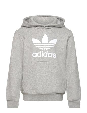 Trefoil Hoodie Adidas Originals Grey