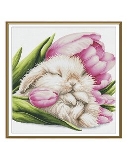 Broderipakke Bilde Tulipan drømmer - Nova Sloboda