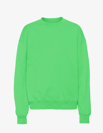 Organic Oversized Crew - Spring Green - 2XL