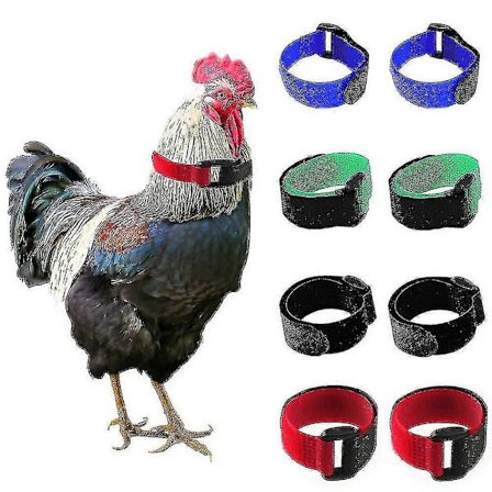 Justerbart kyllinghalsbånd for lydreduksjon - Anti-gale fjærhalsbånd, myke og sikre tupphalsbånd for ender, gjess 2 stk. Svart