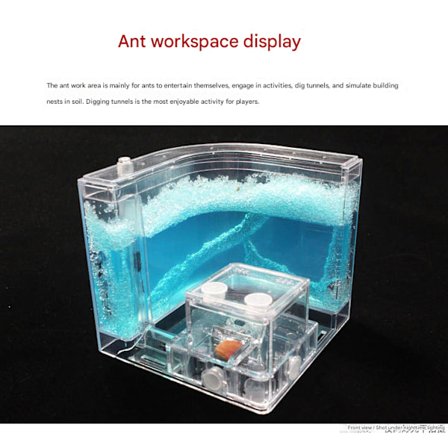 Stort, transparent ant-hus, ant-farm reir, familiehabitat, profesjonell ant-villa, ant-avl boks sett. Farge: vifteformet gel. Størrelse: 21x11x11 cm.