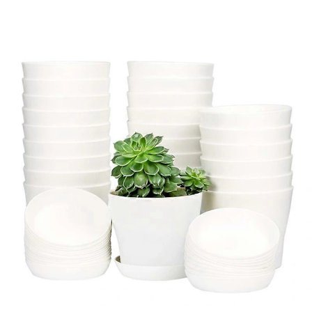 Inomhus Växtkrukor, Mini Blomfröplantor Plantskola Kruka med Fat