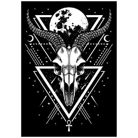 Grindstore Lunar Skull Poster One Size Svart/vit