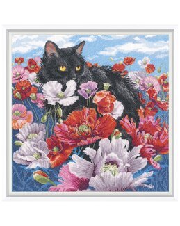 Billlede Sort kat i blomstereng - RTO