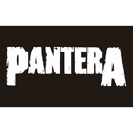 90*150cm pantera flagga (FMY)