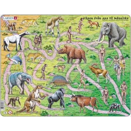 Palapeli Tie apinasta ihmiseksi - Larsen