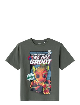 name it | Nkmapelle Gotg Ss Nreg Top Box Mar | 122/128