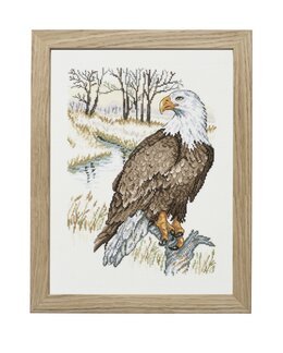 Broderipakke Bilde Ørnen Lin - Permin