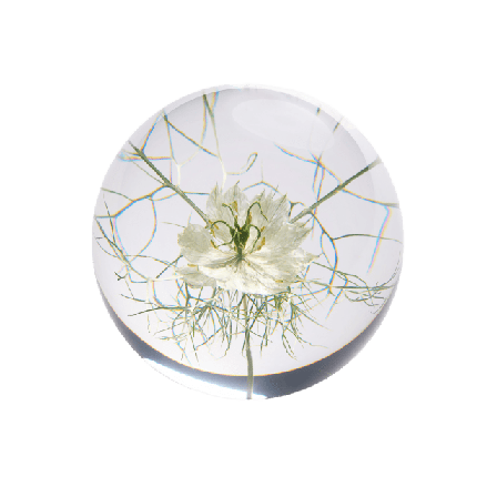 In Flore Flor Pappersvikt Inredningsdetaljer Vit