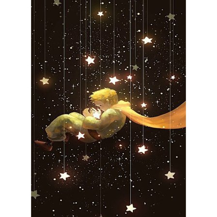 30x40CM Håndlavet 5D Kunst Diamantmaleri - Den Lille Prins 1#