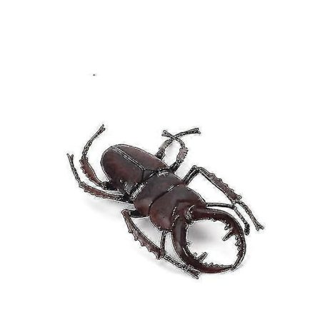 Simulaatio Raaja Hyönteinen Eläinmalli, Kobra Mantis Kuoriainen Hiekkapöytä Koriste