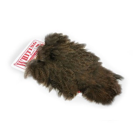 Whiting Coq De Leon Hen SH/C Brown Speckled