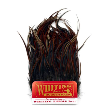 Whiting Bugger Pack Furnace