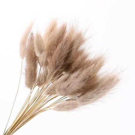 30 stk/lot naturlige tørkede blomster kaninhale gress bunt fargerike Lagurus Ovatus ekte blomsterbukett for hjem bryllup dekorasjon