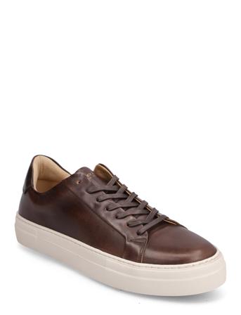 Shame Leather Shoe Low-top Sneakers Brun Sneaky Steve