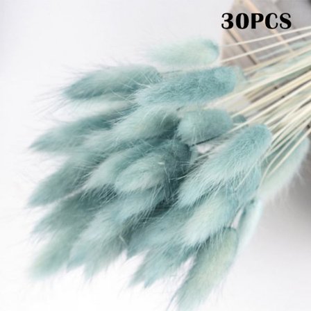 Färgglada torkade blommor evig bukett Riktiga blommor för heminredning Fotografi rekvisita 30 st/bunt