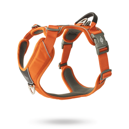 DOG Copenhagen - Comfort Walk Pro 3.0 Harness - Orange Sun - Klassiske hundeseler, step-in, jacket seler, trekkseler, vinterseler & Y-seler på 