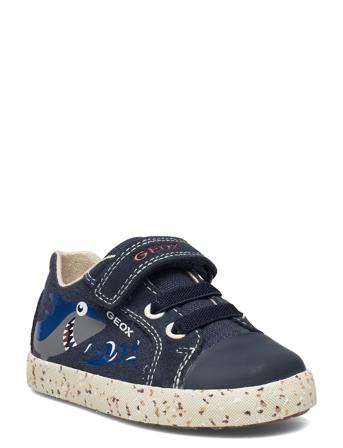 B Kilwi Boy C Blue GEOX