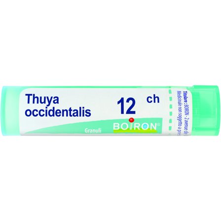 Boiron Thuya Occidentalis Granuli 12Ch Tubo 4g
