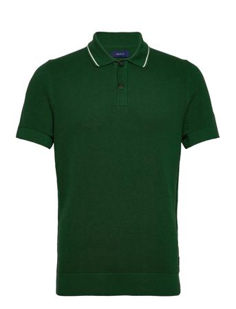 D1. Ss Pique Texture Polo Green GANT