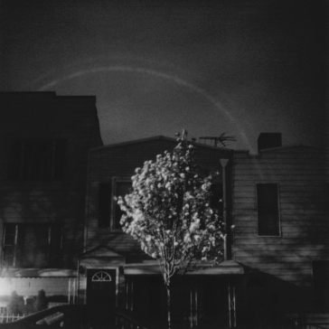 Hands in the honey jar - dark cyan/white OPEN CITY