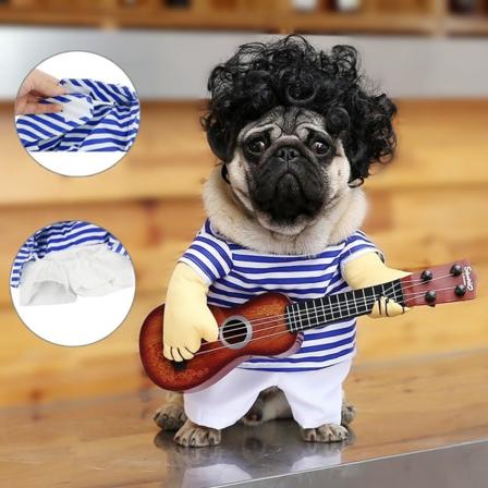 Morsom gitarhundekostyme kjæledyrklær hundeklær chihuahua teddy mops kostyme jul halloween pa